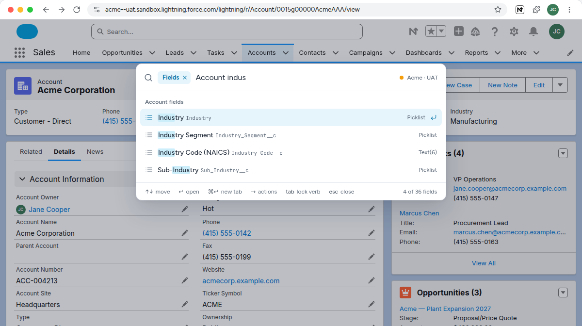 The Fields command listing Account fields that match indus, with API names and field types
