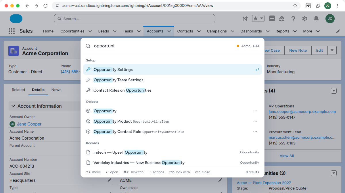 Searching opportuni lists Setup pages, objects and records, with the matching letters highlighted